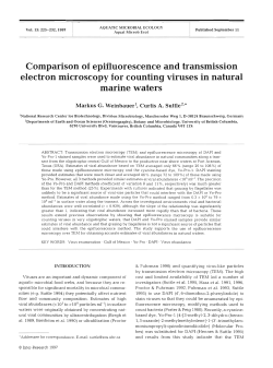 Comparison of epifluorescence and transmission electron