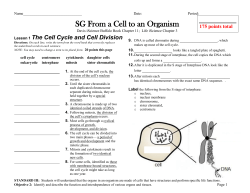 SG From a Cell to an Organism