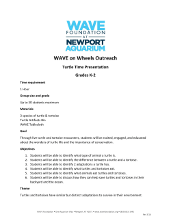 K-2 - Wave Foundation