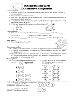 Mitosis/Meiosis Sort: Alternative Assignment