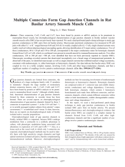 Multiple Connexins Form Gap Junction Channels in Rat Basilar