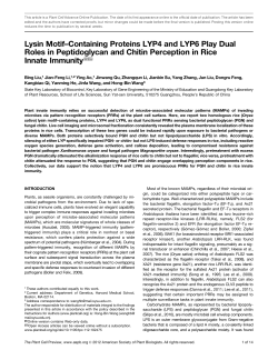 Lysin Motif&ndash;Containing Proteins LYP4 and LYP6