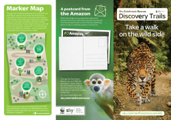 Take a walk on the wild side