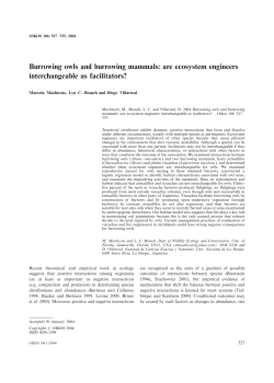 Burrowing owls and burrowing mammals: are ecosystem engineers