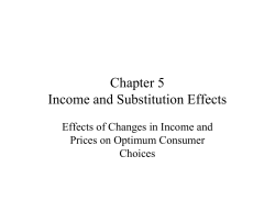 Chapter 5 Income and Substitution Effects