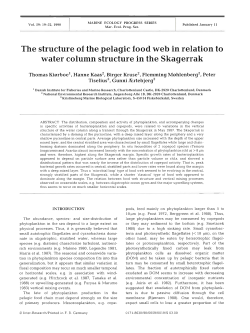 The structure of the pelagic food web in relation to water column