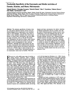 Nucleotide Specificity of the Enzymatic and Motile Activities of