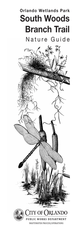 South Woods Branch Trail