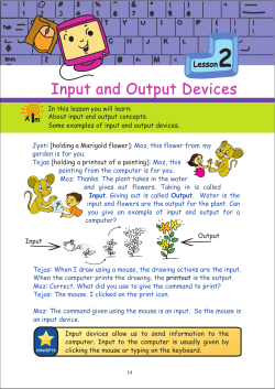 Input and Output Devices