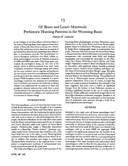 Of Bison and Lesser Mammals: Prehistoric Hunting Patterns in the