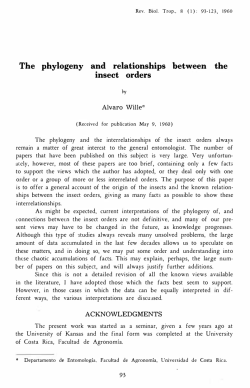 The phylogeny and relationships between the inseet orders