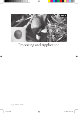 Olive Oil Extraction