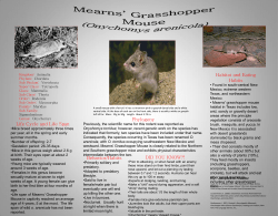 Phylogeny Habitat and Eating Habits Life Cycle and Life