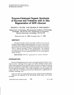 Enzyme-Cataly zed Organic Synthesis of Sucrose and Trehalose