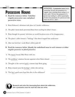 possessive nouns