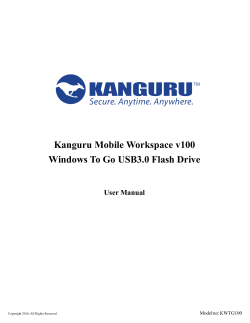 Kanguru Mobile Workspace v100 Windows To Go USB3.0 Flash Drive