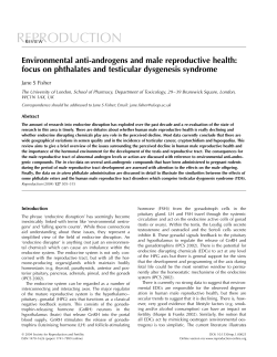 Environmental anti-androgens and male reproductive health: focus