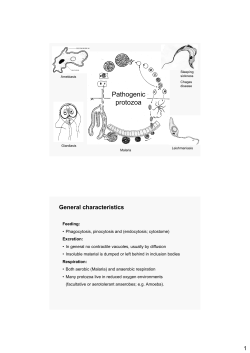 Pathogenic protozoa