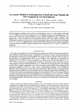 An Accurate Method for Estimating Sizes of Small and