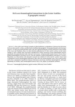 Heliconia-hummingbird interactions in the Lesser Antilles: A