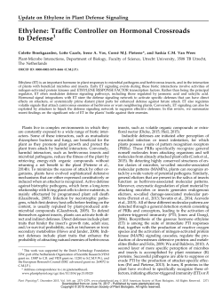 Ethylene: Trafic Controller on Hormonal Crossroads to Defense