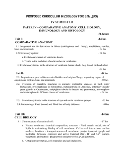 Paper 4 - Bangalore University