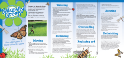 Mowing Watering Fertilizing Overseeding Replacing sod Aerating