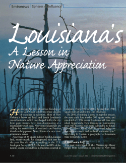 Louisiana`s Wetlands