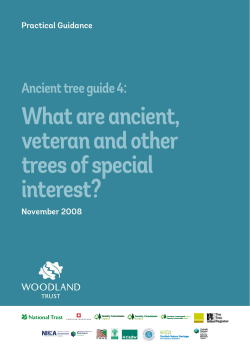 Ancient trees - Woodland Trust