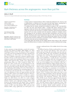 Bark thickness across the angiosperms: more than just fire