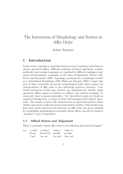 The Interaction of Morphology and Syntax in Affix Order