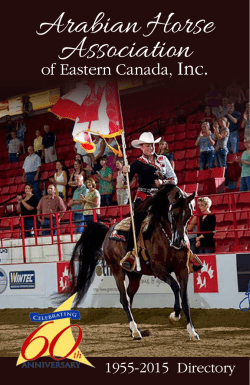 Arabian Horse Association of Eastern Canada