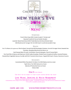 New Year`s Eve Party Menu