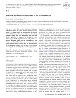 Structural and functional topography of the
