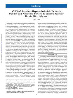 PDF - Circulation Research