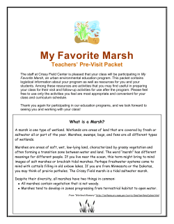 My Favorite Marsh Pre-Packet - Golden Gate National Parks
