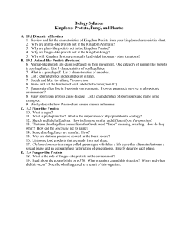 Protista, Fungi, and Plantae