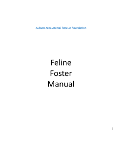 Feline Foster Manual