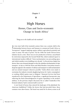 High Horses - Stellenbosch University