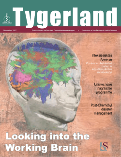 Looking into the Working Brain