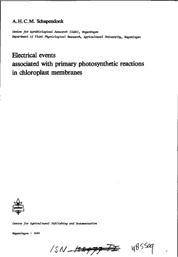 Electrical events associated with primary photosynthetic reactions in