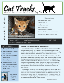 Most Recent Newsletter - Forgotten Felines of Sonoma County