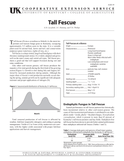 AGR-59: Tall Fescue - UK College of Agriculture