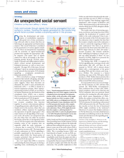 An unexpected social servant