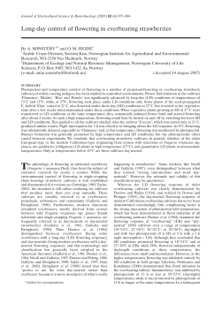 Long-day control of flowering in everbearing strawberries