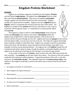 The Euglena - cloudfront.net