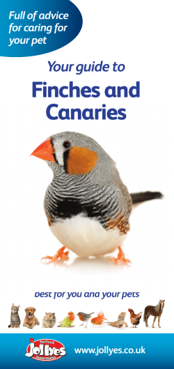 Finches and Canaries