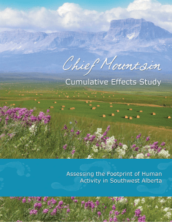 Chief Mountain Study - Southern Alberta Land Trust Society