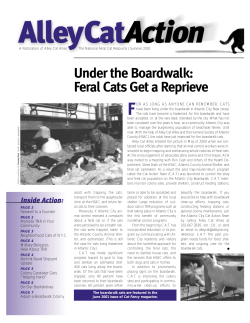 Under the Boardwalk: Feral Cats Get a Reprieve