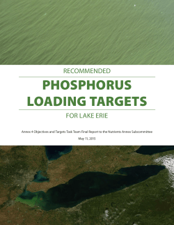 PHOSPHORUS LOADING TARGETS - Graham Sustainability Institute